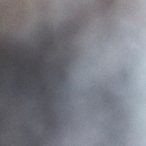 Meet your Posher, Stella